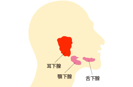 耳下腺へのボトックス注射